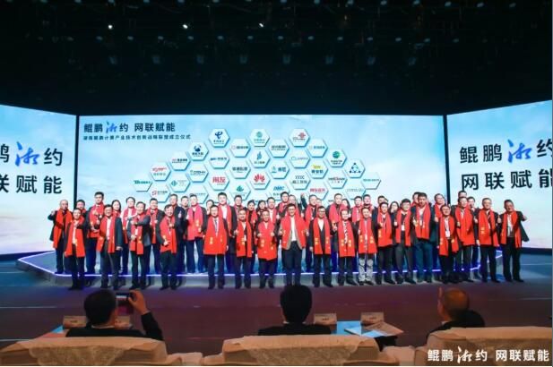 鲲鹏展湖湘 1xBET踏祥云